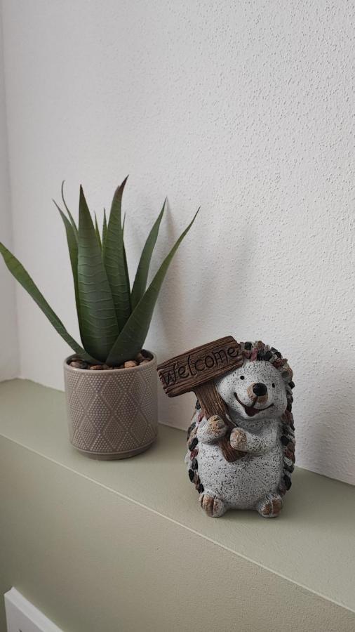 Ferienhaus Polly Taucha Extérieur photo